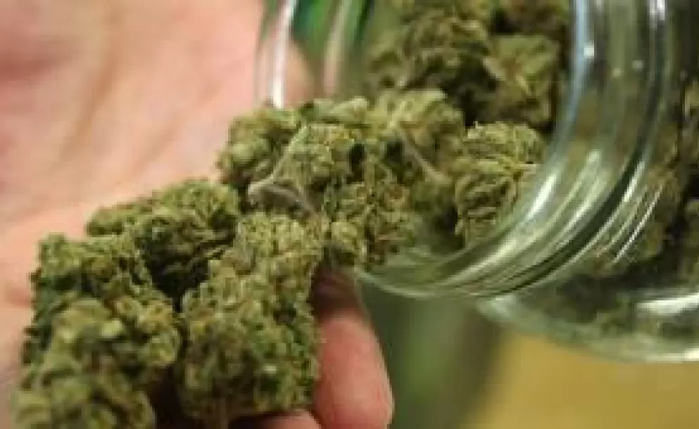 Dan primera licencia para productos medicinales de marihuana en Colombia