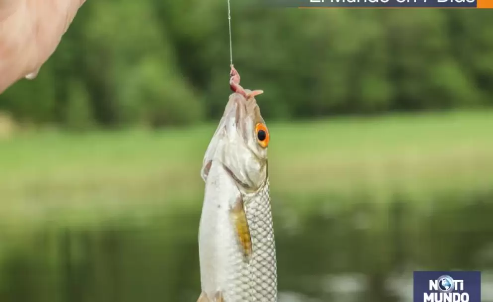 Un recorrido por los lugares para hacer pesca deportiva
