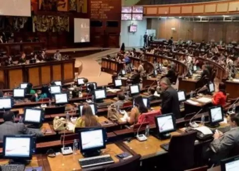Asamblea debate proyecto de ley sobre entidades de seguridad