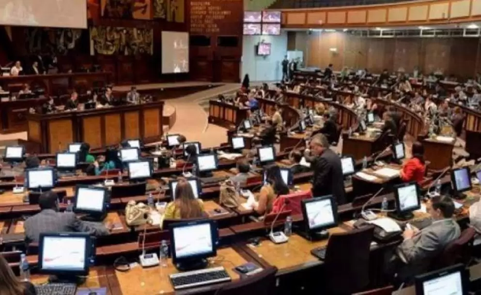 Asamblea debate proyecto de ley sobre entidades de seguridad