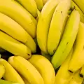 Aranceles de EE.UU. impulsan la b�squeda de mercados alternativos para el banano ecuatoriano, seg�n gremio exportador
