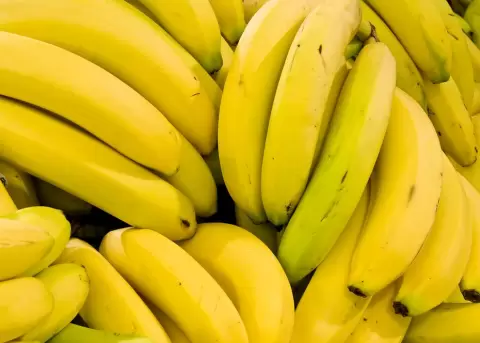 El acuerdo comercial con la UE permitir� aumentar las exportaciones de banano un 5% anual