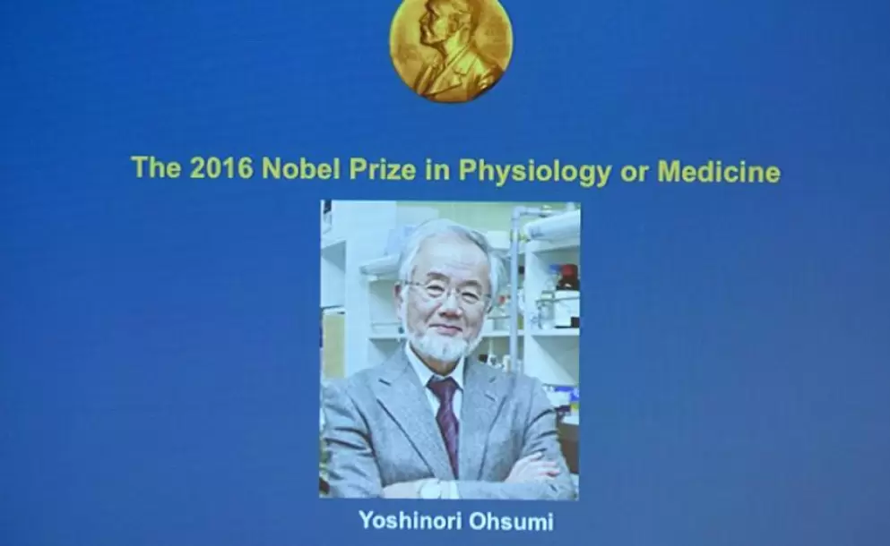 Yoshinori Ohsumi, Premio Nobel de Medicina