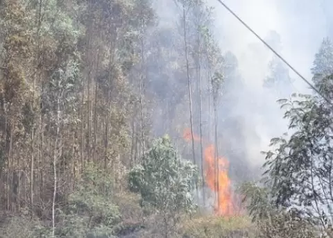 Nuevos incendios se registran en Azuay