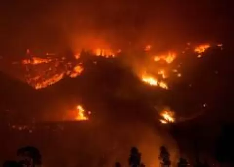 Suben a seis los muertos por incendios forestales en Chile