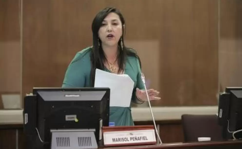 Marisol Peafiel, sobre empresas offshore: en un ao evadieron unos 3 mil millones