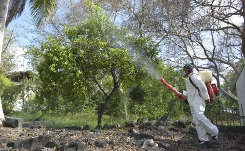 En Galpagos se inicia plan de fumigacin contra plaga que afecta a manglares de isla Santa Cruz