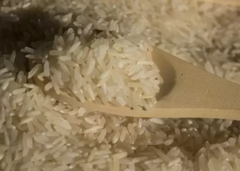 Ecuador exportar� arroz a Colombia