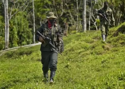 Colombia: ELN ataca oleoducto pese a cese el fuego