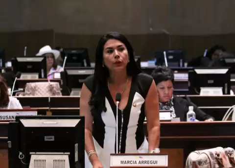 Marcia Arregui: Yo no soy la causante de la ruptura de Alianza PAIS