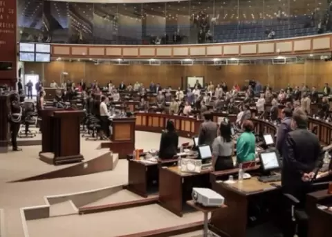 Anlisis de las ternas para el Consejo de Participacin Ciudadana y Control Social transitorio
