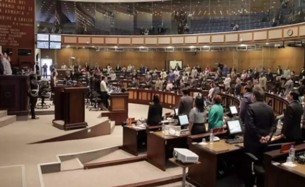 Análisis de las ternas para el Consejo de Participación Ciudadana y Control Social transitorio