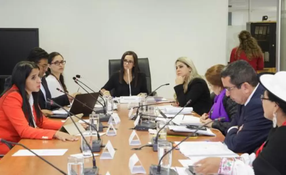 La patria potestad centralizó el debate de la Comisión de Justicia sobre Código de Niñez