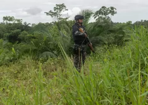 Siete narcoguerrillas operan en la frontera