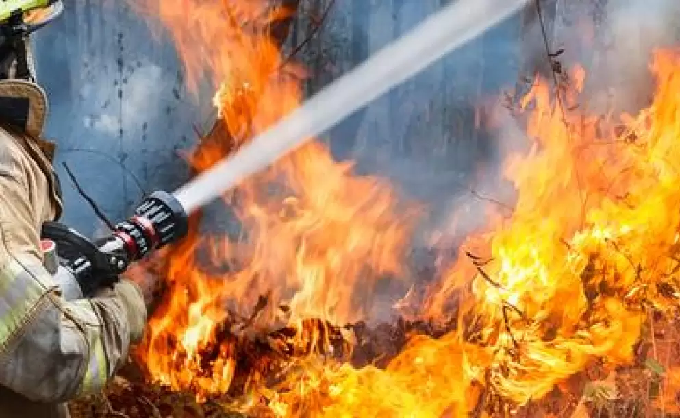 Incendios forestales afectan a vegetacin y fauna en cantones de Tungurahua