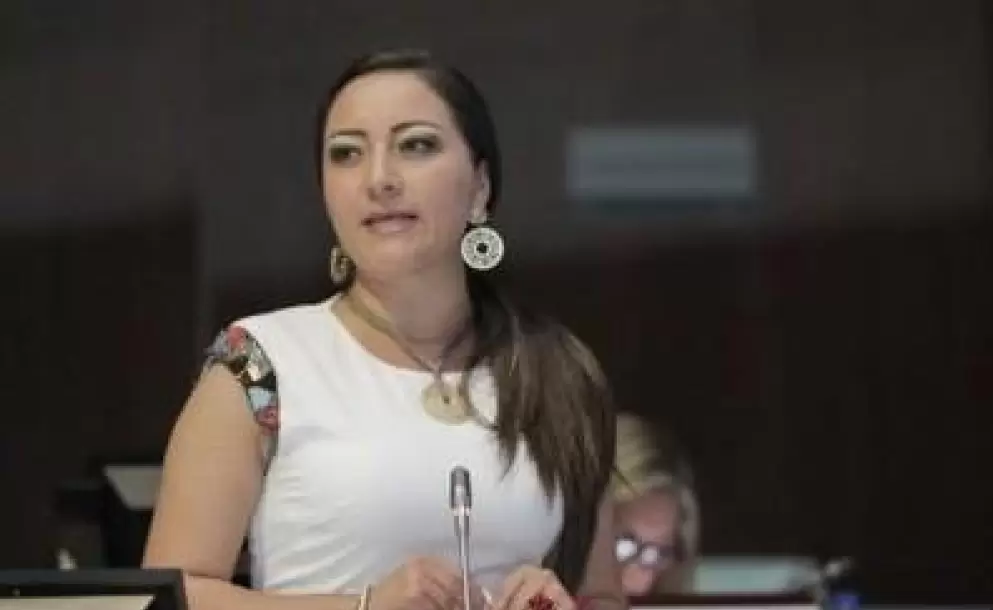 Ana Belén Marín: "Al país le falta un plan de seguridad nacional"