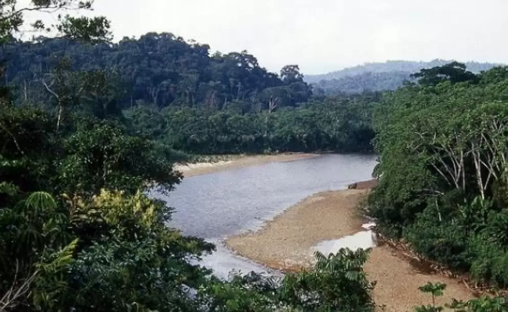 Petroamazonas invertir 112 millones de dlares en la Amazona