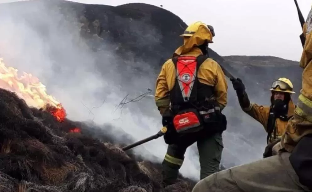 Bomberos de Quito sofocaron incendio forestal en el Rucu