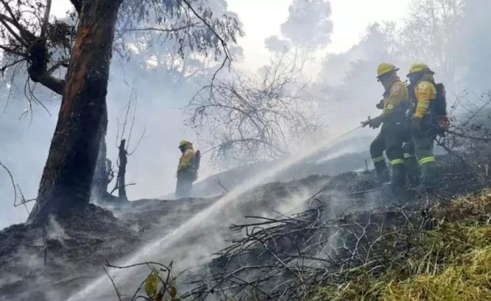 Incendio fue controlado en el sector de El Panecillo