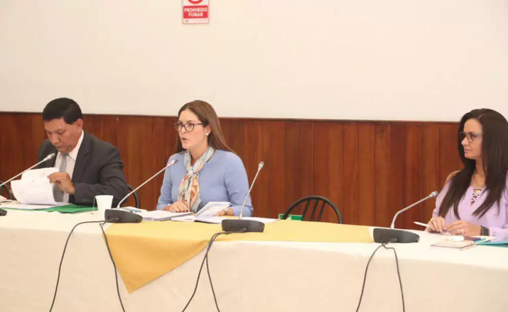 Mara Mercedes Cuesta presidir la comisin que investigar a Elizabeth Cabezas