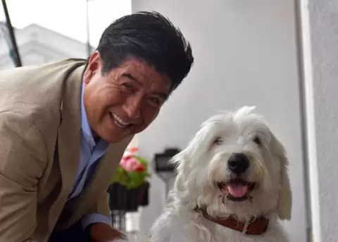 El Municipio de Quito busca convertirse en la primera institucin pblica 'pet friendly' del pas