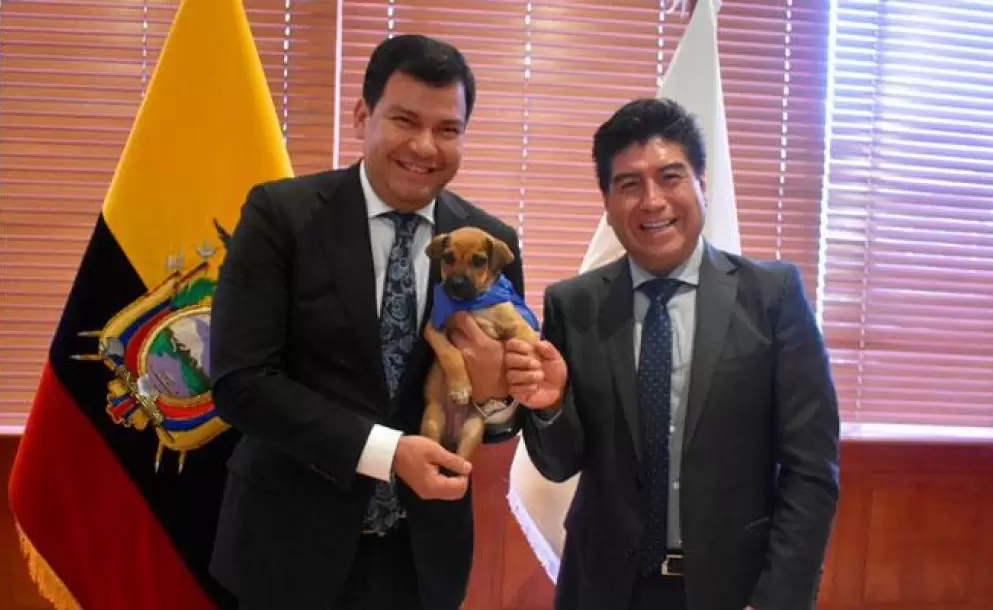 La Asamblea present a Pacha, su mascota oficial