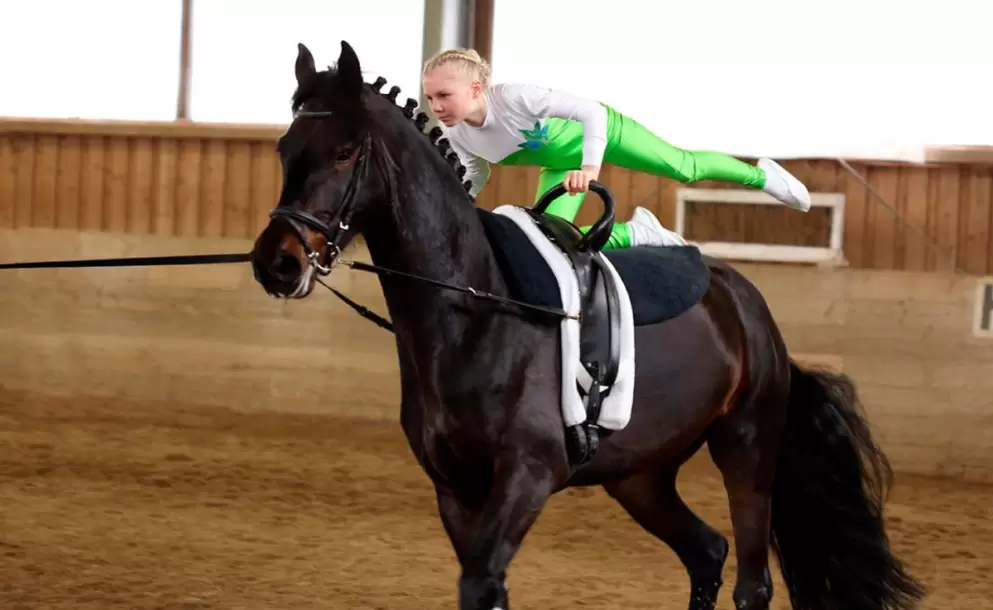 El vaulting: Un trabajo armonioso con el caballo