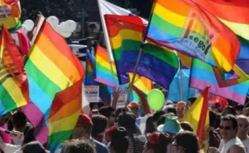 Fallo sobre matrimonio igualitario se public en el Registro Oficial