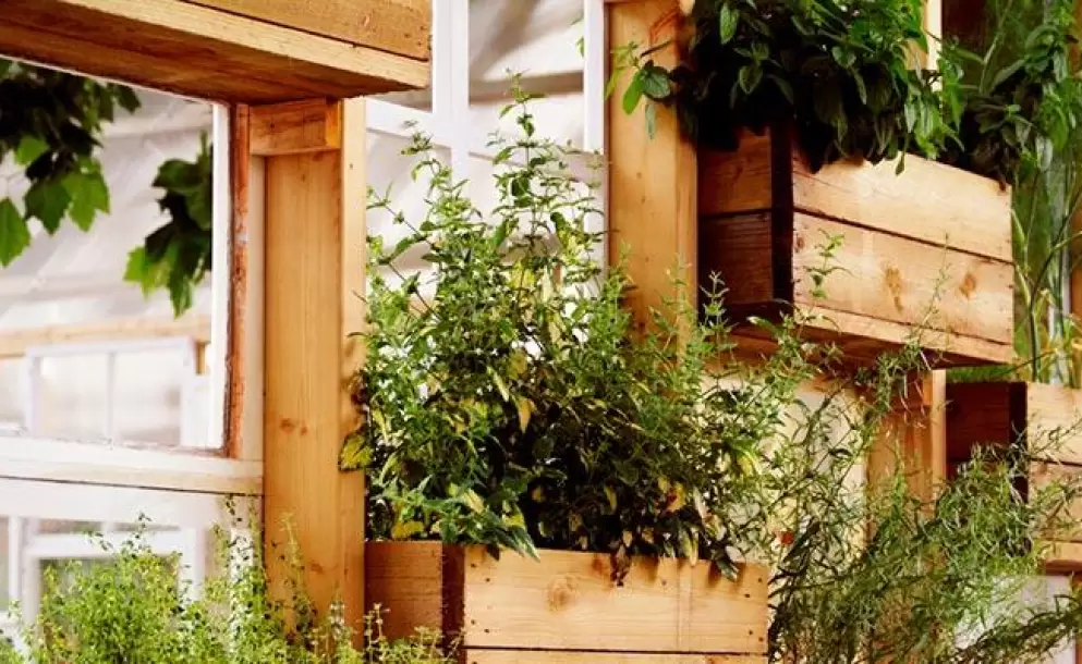 ¿Qué necesito para tener un huerto en casa?