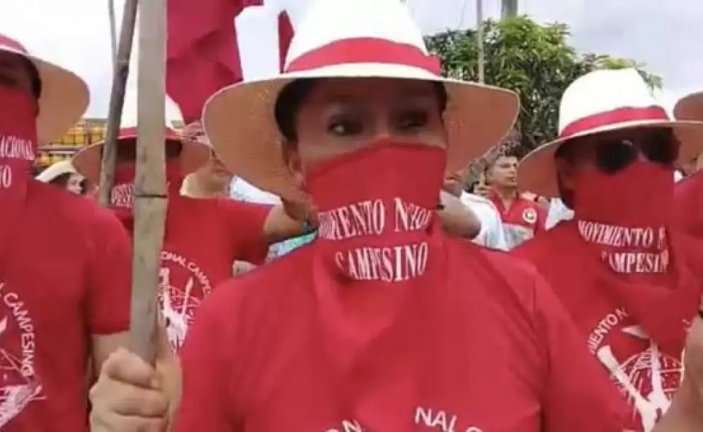 Personas identificadas con el Movimiento Campesino Nacional convocan a paro