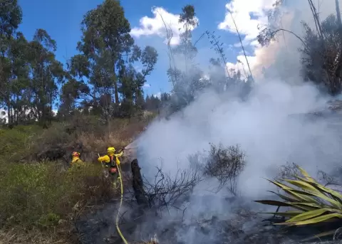 Incendio forestal en Carcel�n fue controlado
