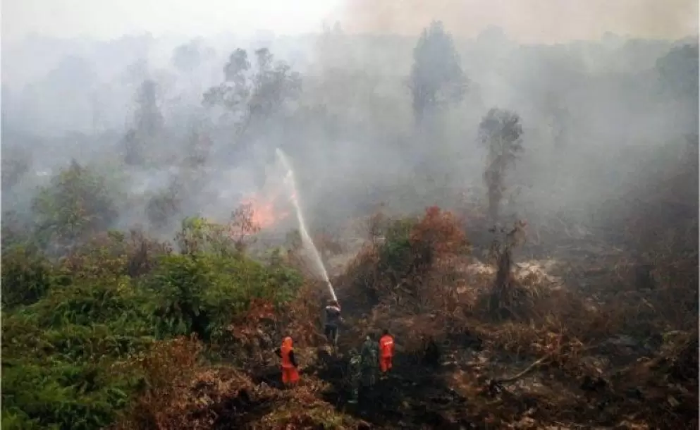 Un nuevo incendio consume el bosque tropical de Indonesia