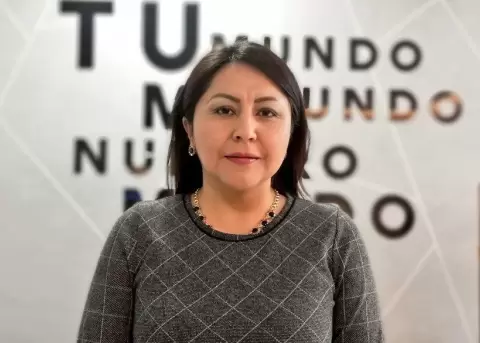 El veto del ejecutivo a la reforma electoral inclua errores de forma y constitucionalidad, segn Ximena Pea