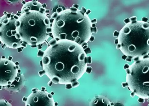 Tres tipos de coronavirus habran mutado desde su origen en Wuhan
