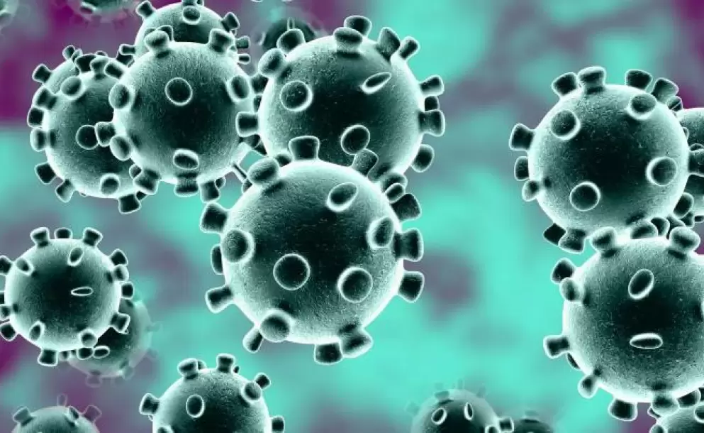 Tres tipos de coronavirus habran mutado desde su origen en Wuhan