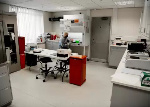 Un programa puede diagnosticar el coronavirus COVID-19 de manera rápida analizando imágenes de rayos X