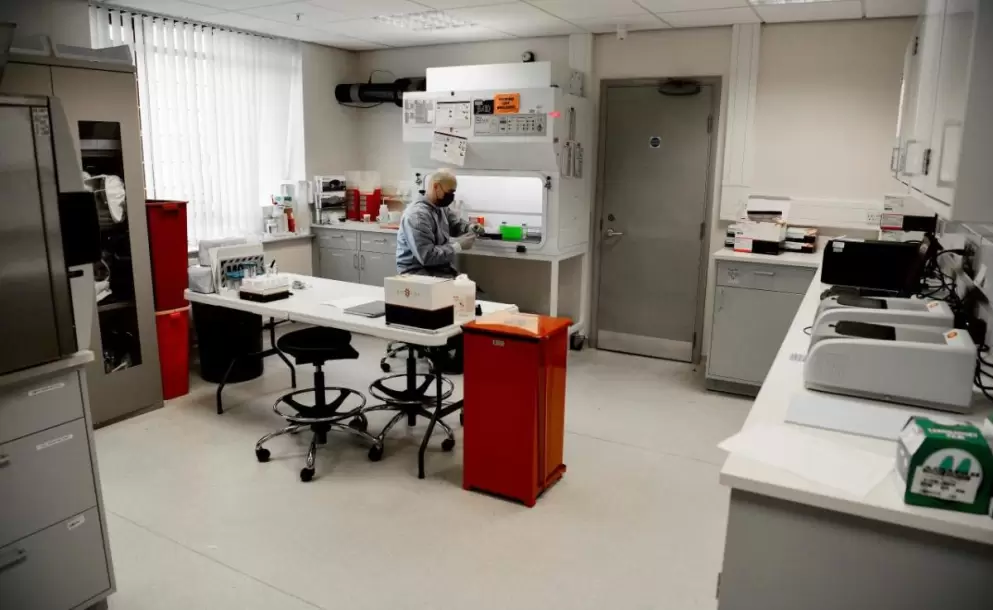 Un programa puede diagnosticar el coronavirus COVID-19 de manera rpida analizando imgenes de rayos X