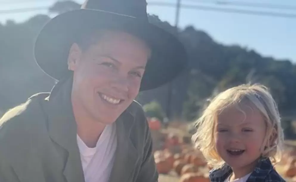 Pink admite que el covid-19 fue su experiencia ms desafiante como madre