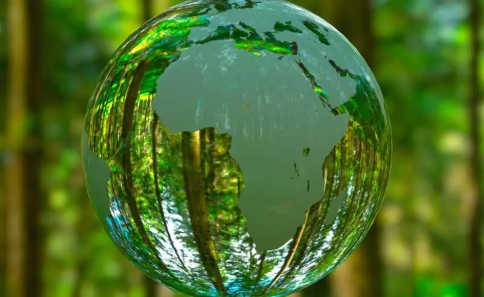 Medio Ambiente: cifras positivas del confinamiento