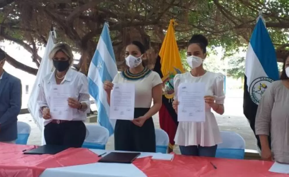 Reglas de promocin electoral durante la pandemia, a debate