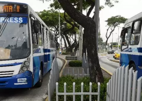 Seis rutas de alimentadores de la Metrova retoman sus recorridos desde este sbado