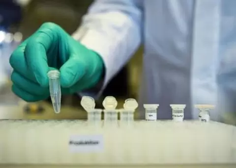 Hackers chinos podran haber robado informacin sobre la vacuna espaola contra el COVID-19