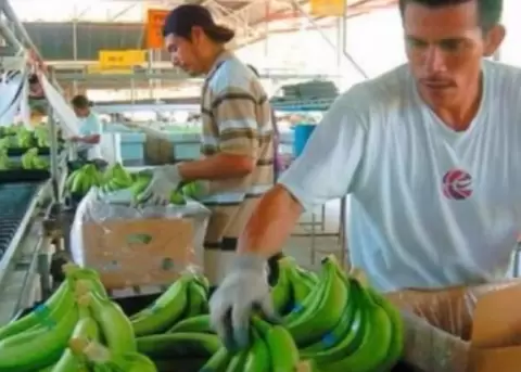 Compradores de ocho pa�ses de Europa buscan productos ecuatorianos en la Feria Euro Virtual de Corpei