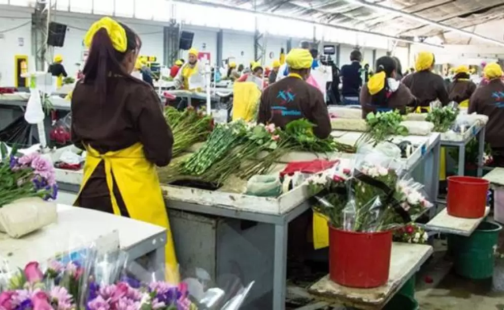 Crisis del sector Ambiental y de Agua Afecta al sector productivo formal del Ecuador