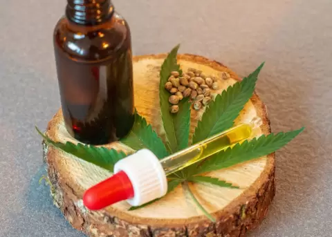 Regulacin de la produccin del cannabis no psicoactivo