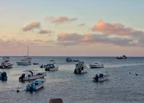 Dos comisiones legislativas se pronuncian en contra de la ampliacin de la Reserva Marina de Galpagos