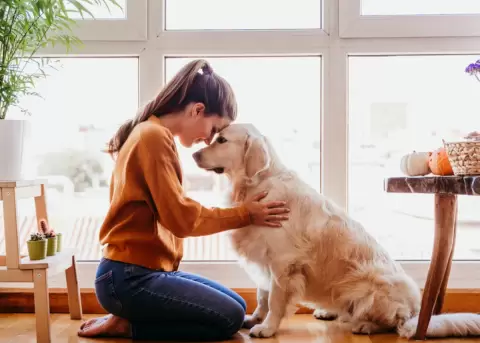 Terapia asistida por animales