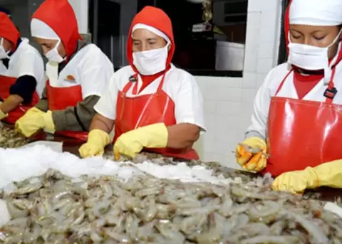 350 nuevos productos ecuatorianos podran acceder a Estados Unidos