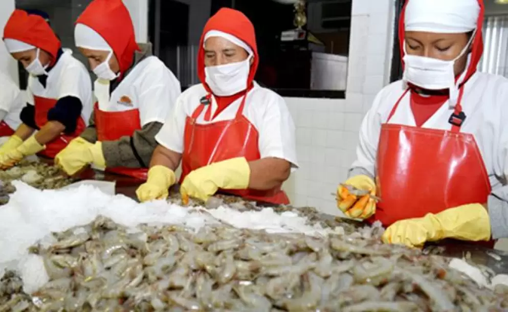 350 nuevos productos ecuatorianos podran acceder a Estados Unidos