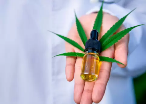 Cultivo legal de cannabis